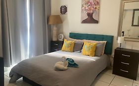 Eco Home Estudio-El Golf 2